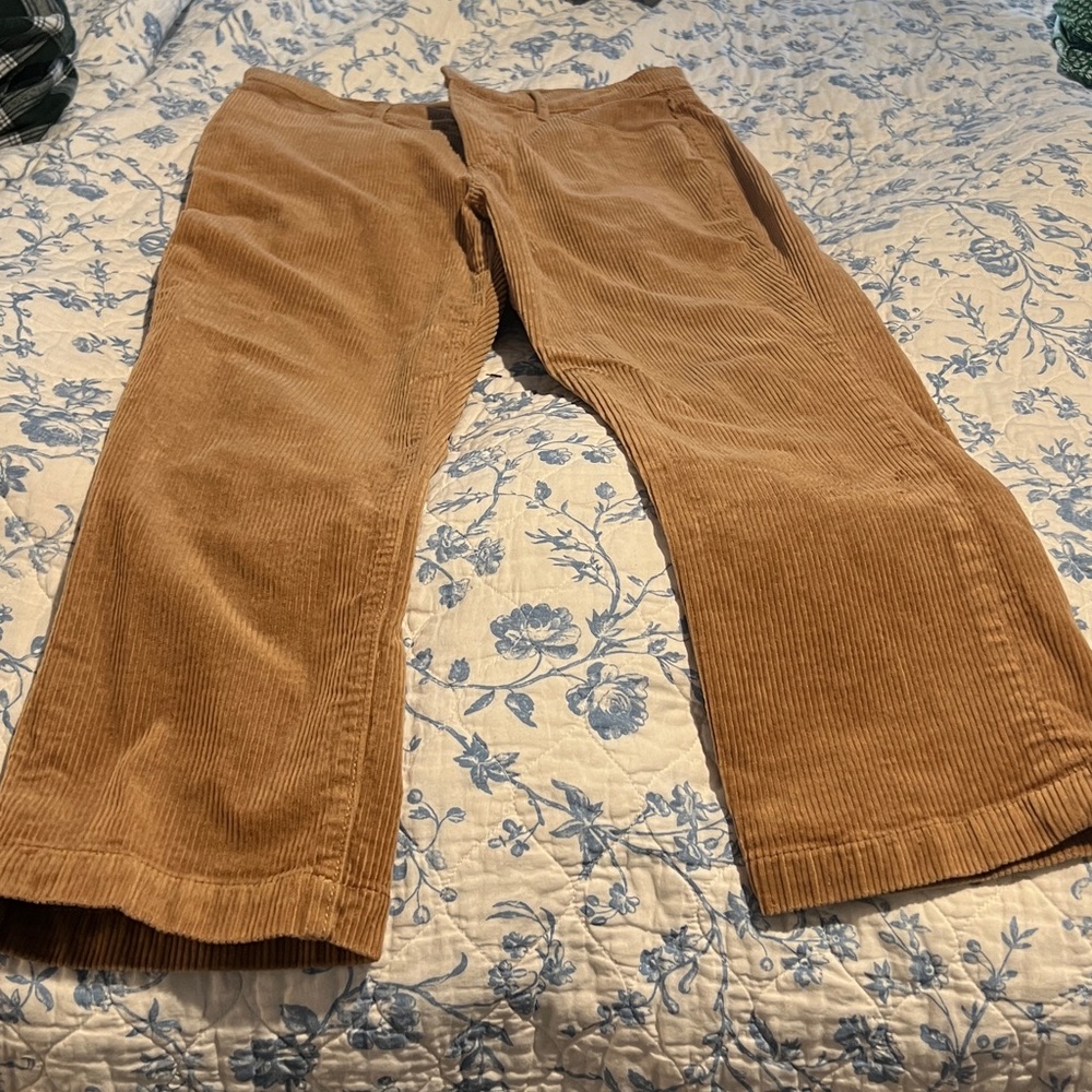LOFT Tan Corduroy Pants